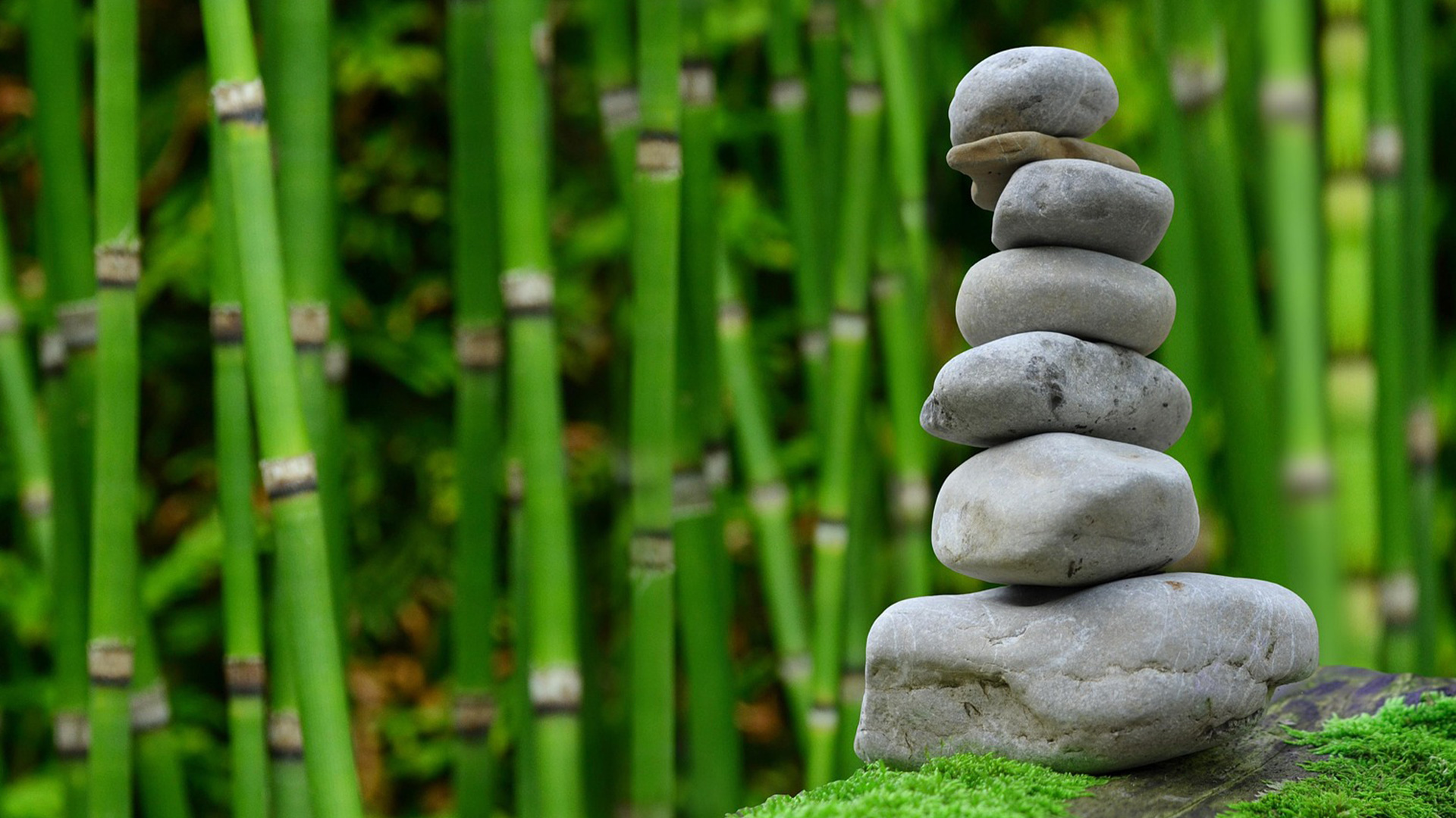 The Healing Power of Yoga: Unlock Your Inner Peace